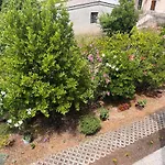 Rosa Alojamento de Acomodação e Pequeno-almoço Punat